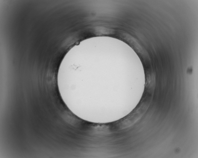 X0000102810426200809150956