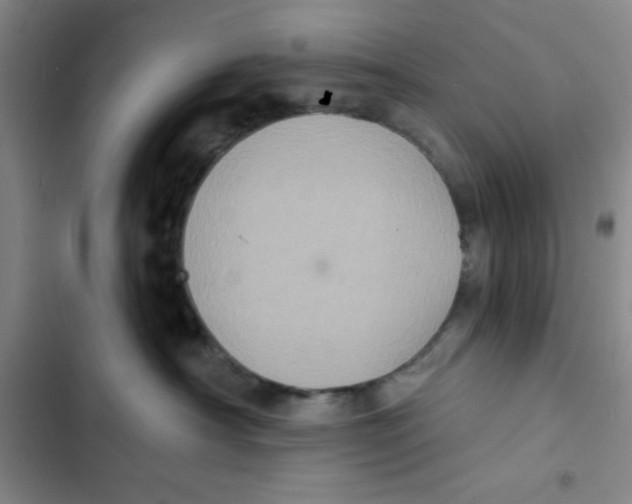 X0000102810430200809150956