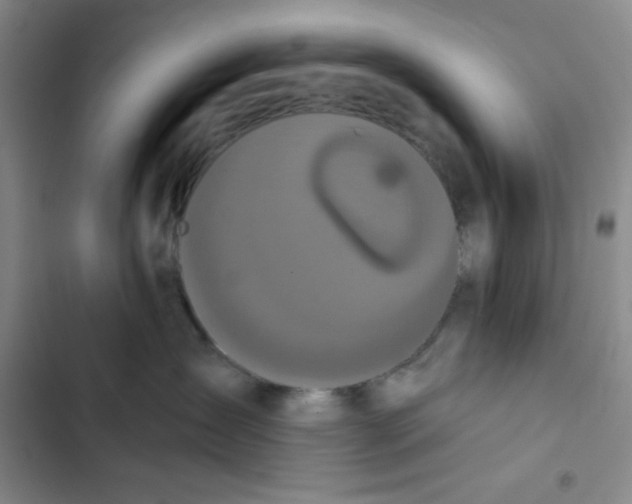 X0000102810431200809150956