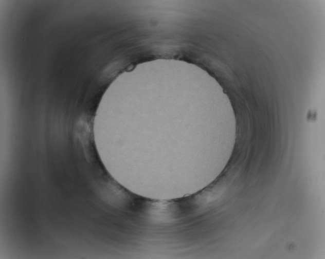 X0000102810432200809150956