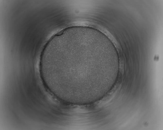 X0000102810434200809150955