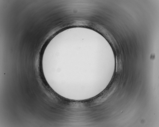 X0000102810435200809150955