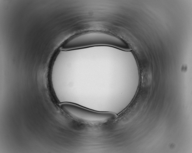 X0000102810436200809150955