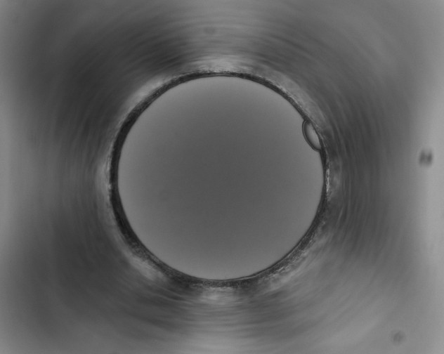 X0000102810438200809150955