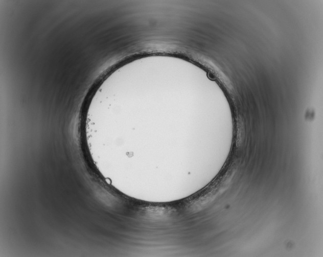 X0000102810439200809150955