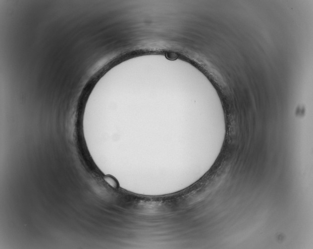 X0000102810440200809150955