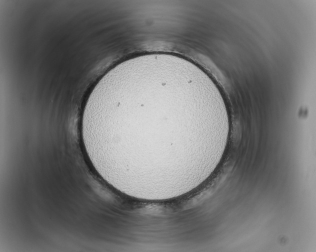 X0000102810441200809150955