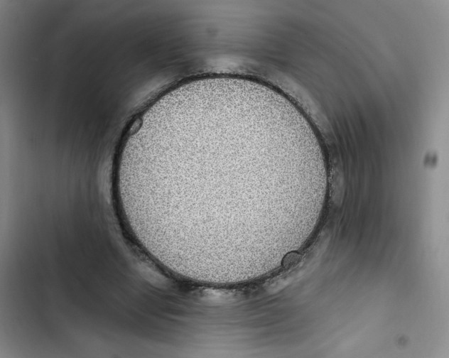 X0000102810442200809150955