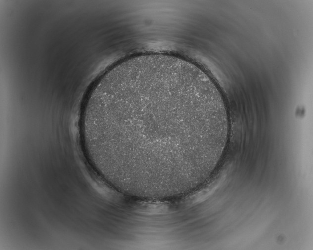 X0000102810443200809150955