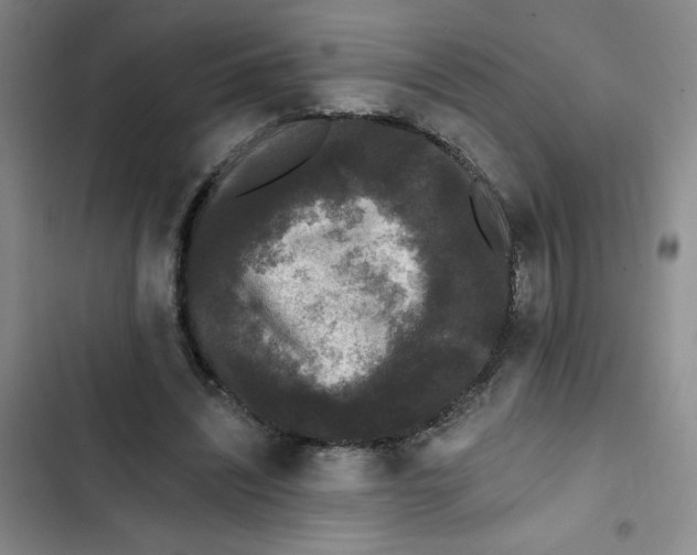 X0000102810444200809150955