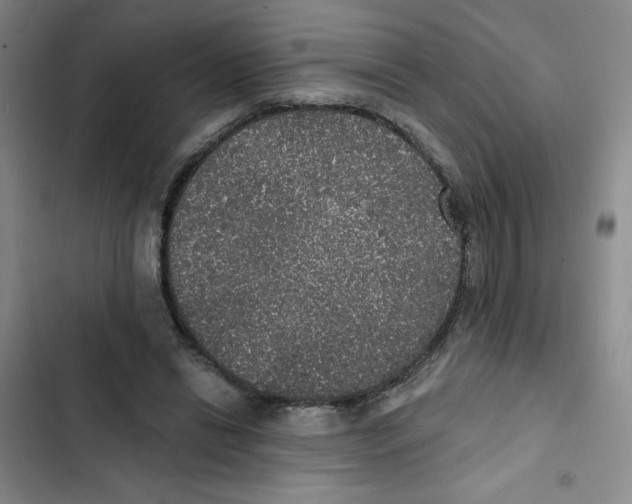 X0000102810446200809150955