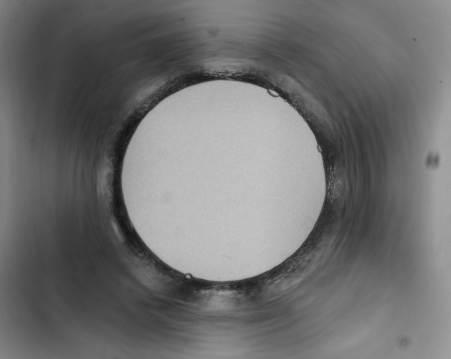 X0000102810448200809150955