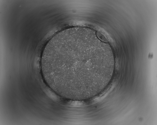 X0000102810449200809150955