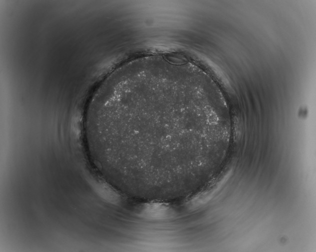 X0000102810451200809150955