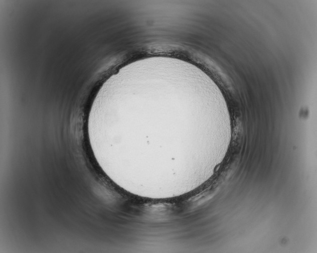 X0000102810452200809150955