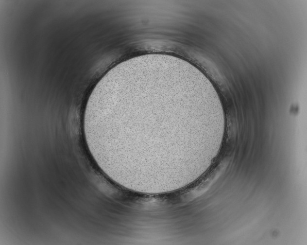 X0000102810453200809150955