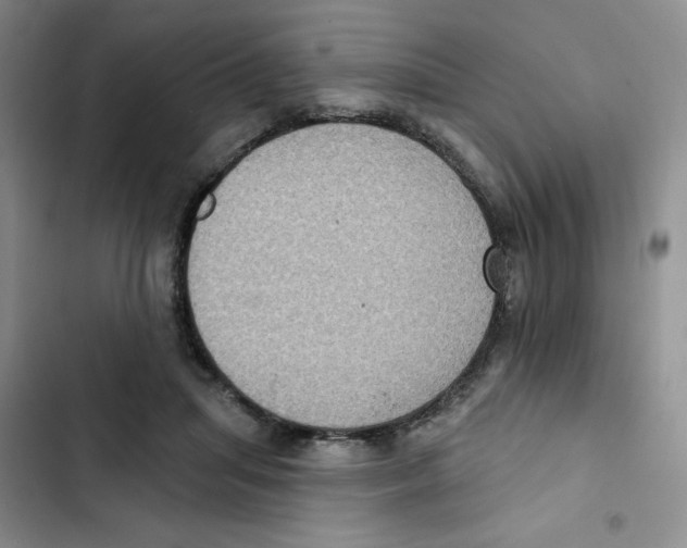 X0000102810455200809150955