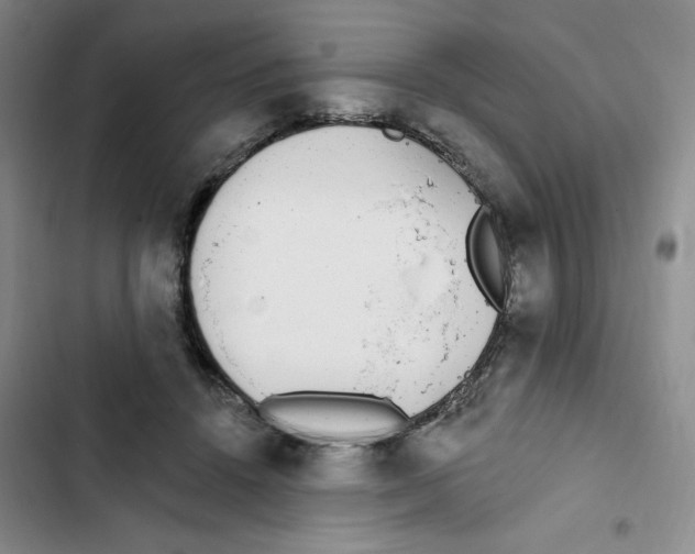 X0000102810456200809150955