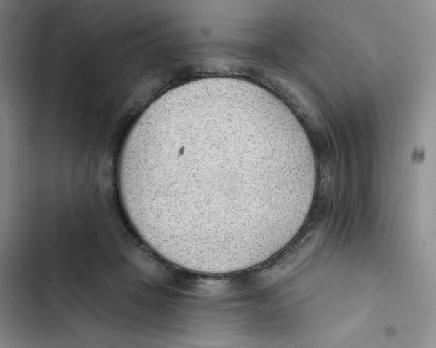 X0000102810457200809150955