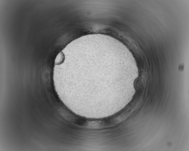 X0000102810461200809150955