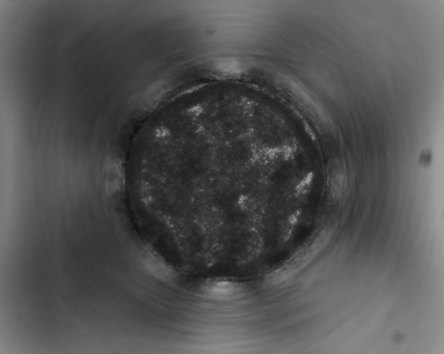 X0000102810467200809150956