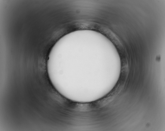 X0000102810469200809150956