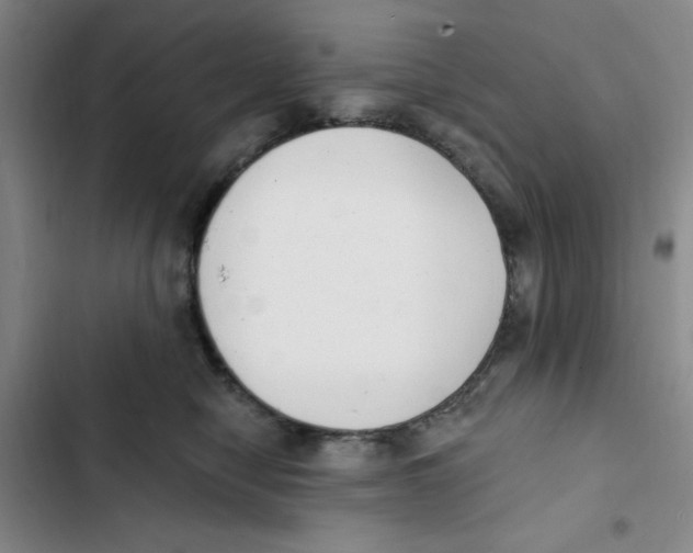 X0000102810470200809150956