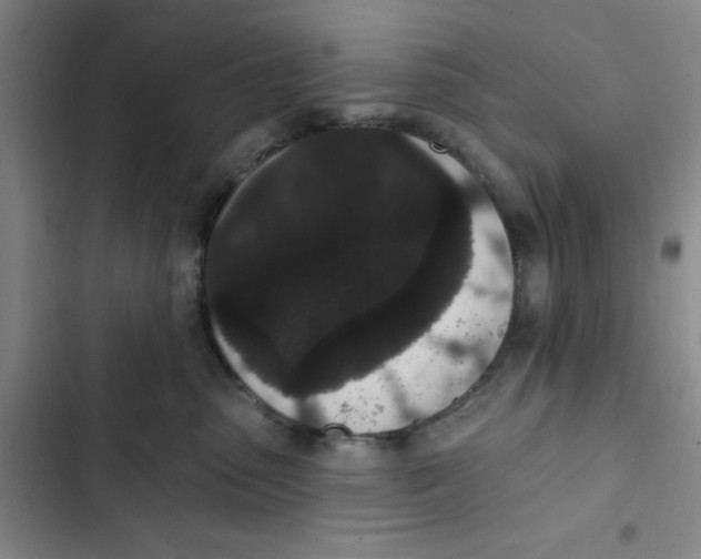 X0000102810475200809150956