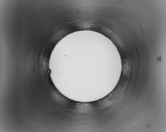 X0000102810476200809150956