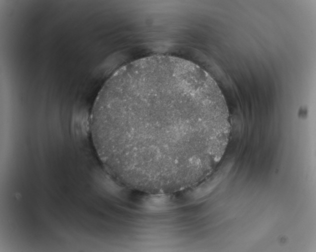 X0000102810479200809150956