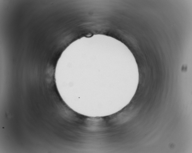 X0000102810480200809150956