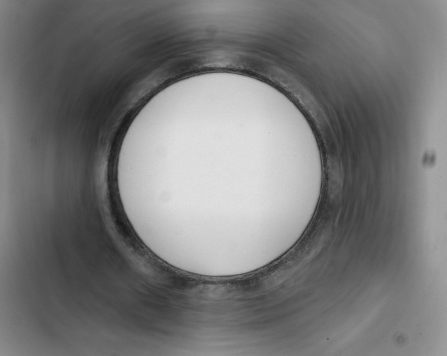 X0000102810482200809150955