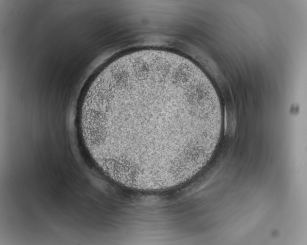 X0000102810483200809150955