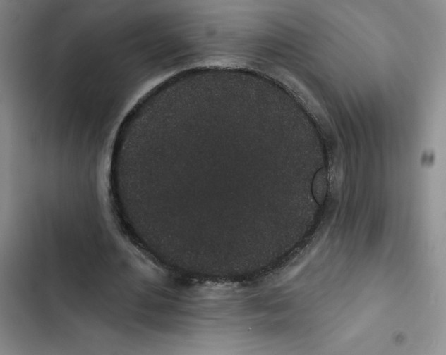 X0000102810484200809150955