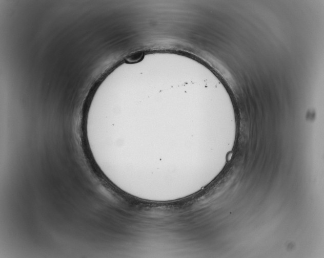 X0000102810485200809150955