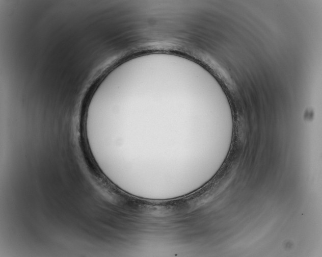 X0000102810486200809150955