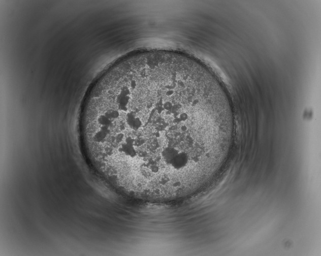 X0000102810487200809150955