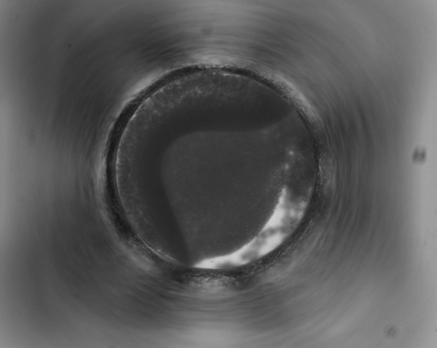 X0000102810488200809150955