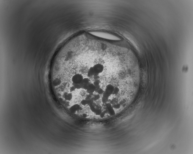 X0000102810491200809150955