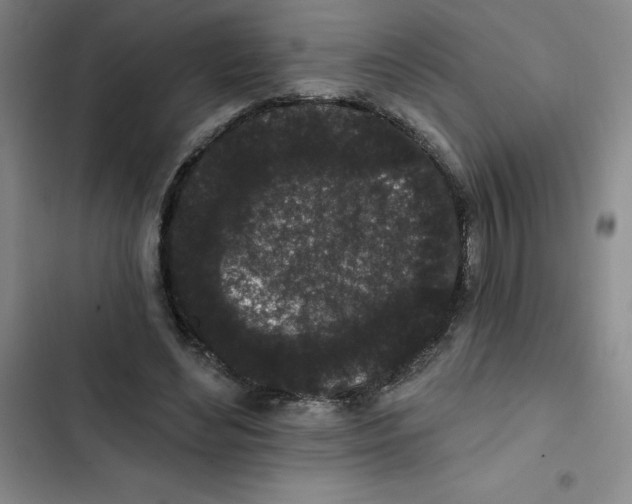 X0000102810492200809150955