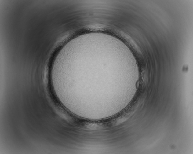 X0000102810494200809150955