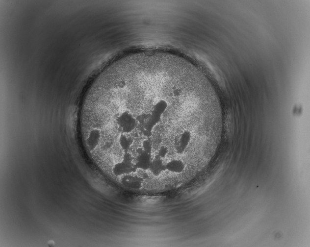 X0000102810495200809150955