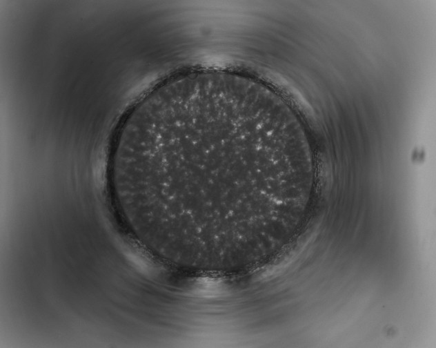 X0000102810496200809150955