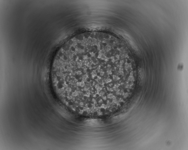 X0000102810499200809150955