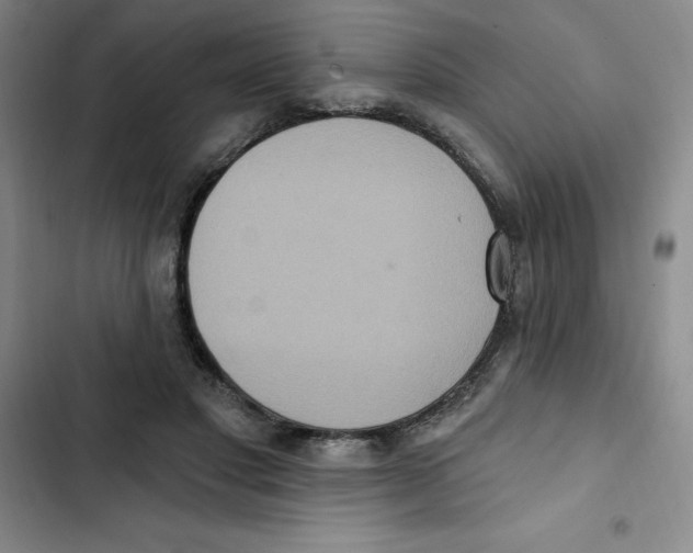 X0000102810501200809150955