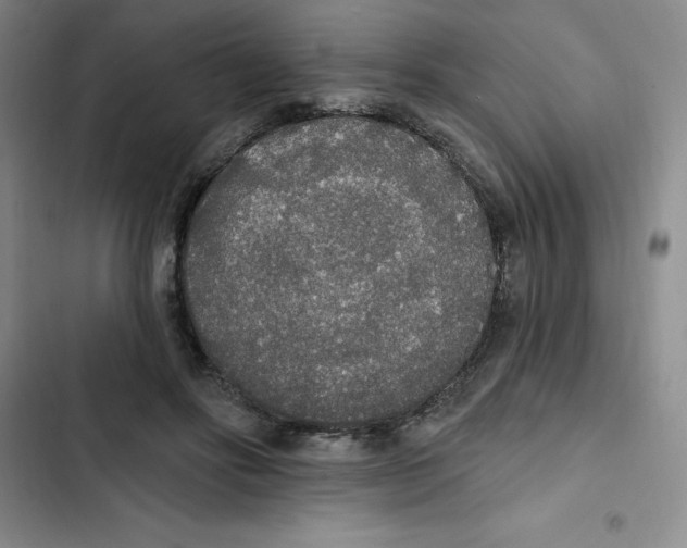 X0000102810502200809150955