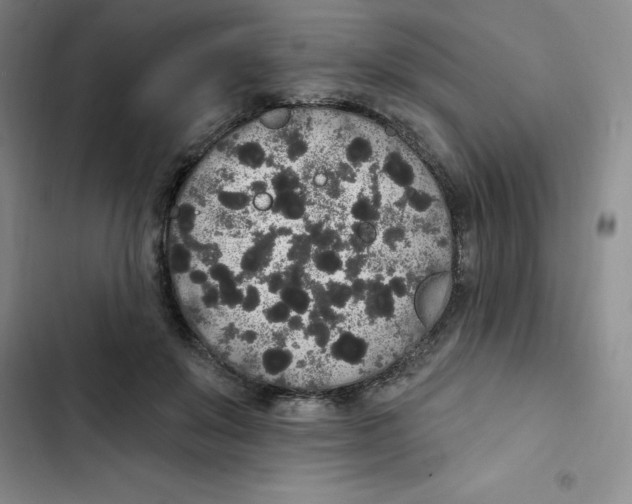 X0000102810503200809150955