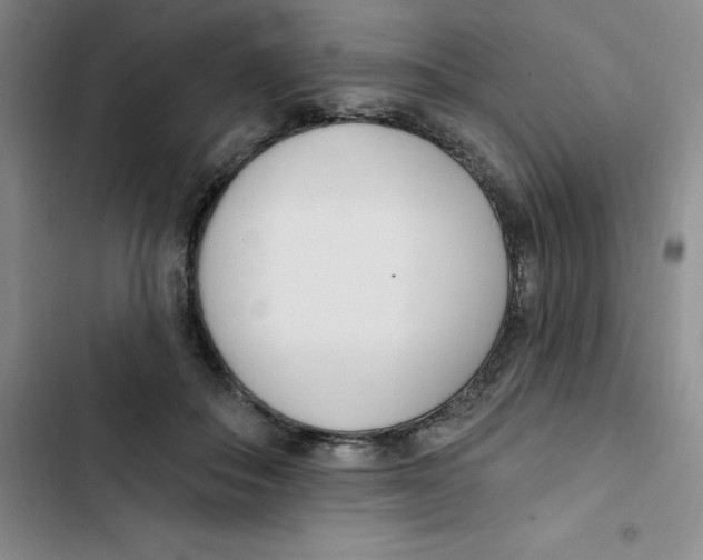 X0000102810506200809150955