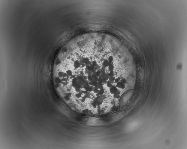 X0000102810507200809150955