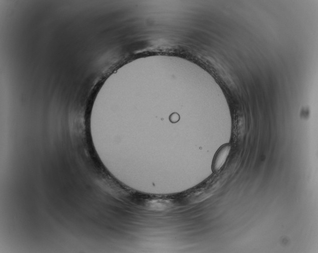 X0000102810508200809150955